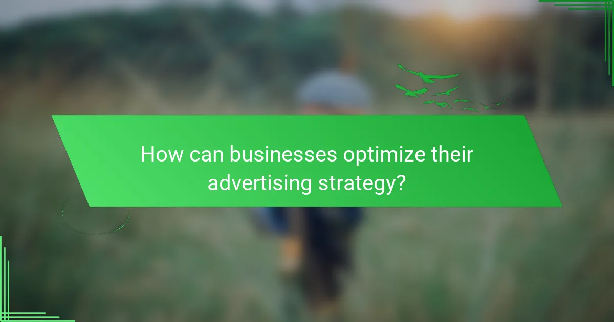 How can businesses optimize their advertising strategy?