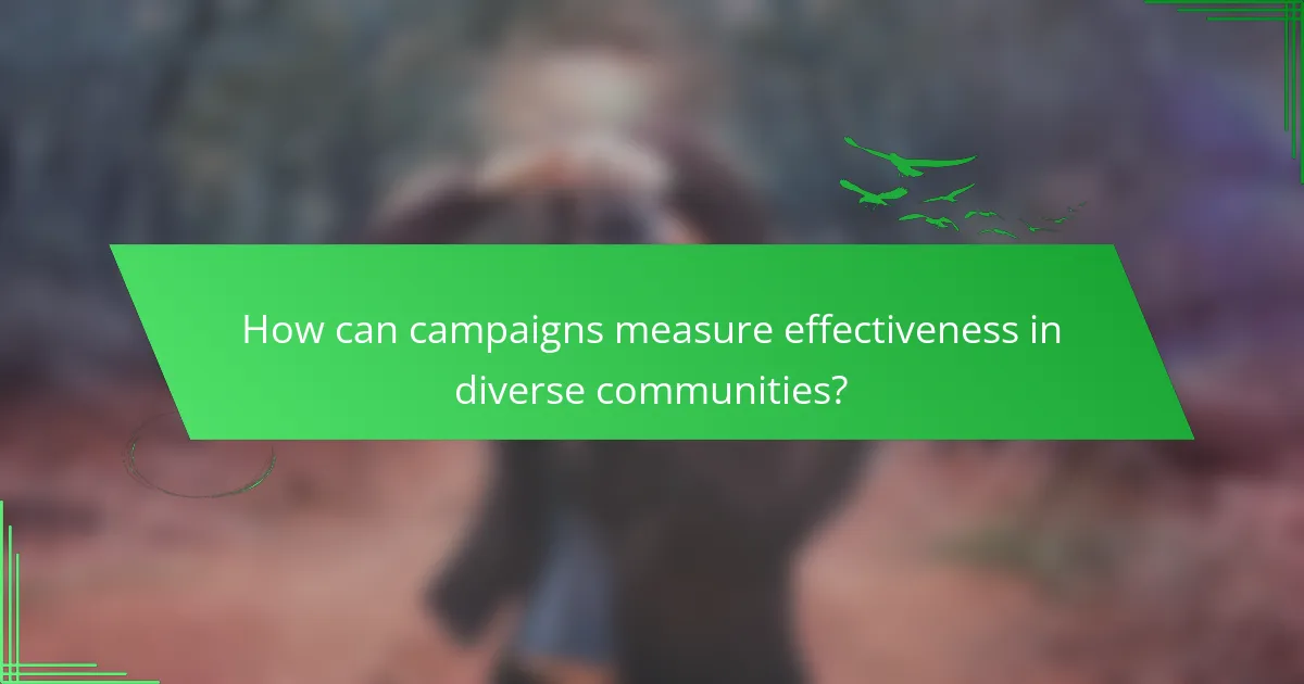 How can campaigns measure effectiveness in diverse communities?