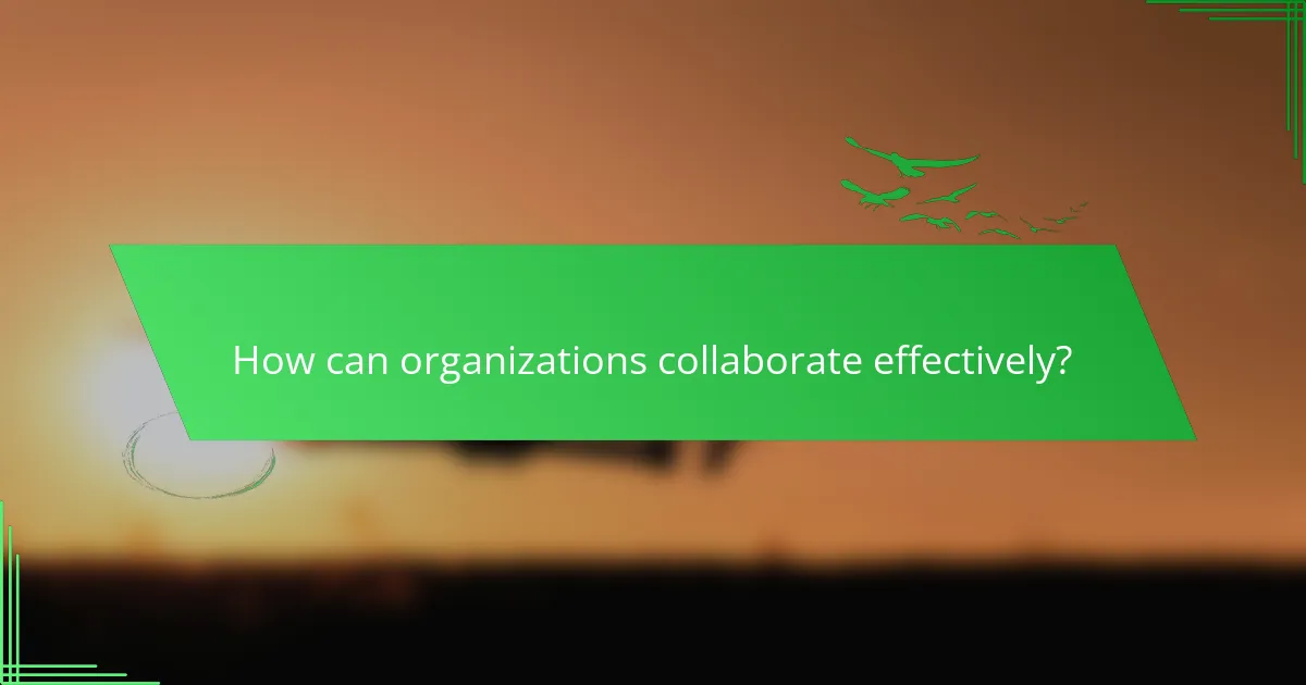 How can organizations collaborate effectively?