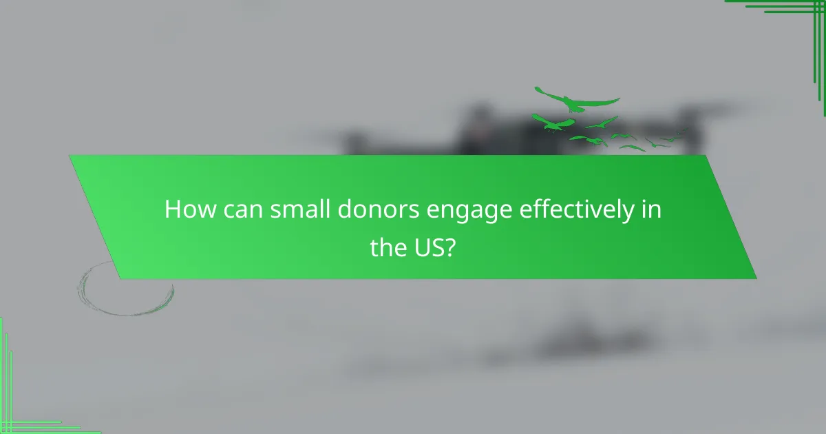 How can small donors engage effectively in the US?