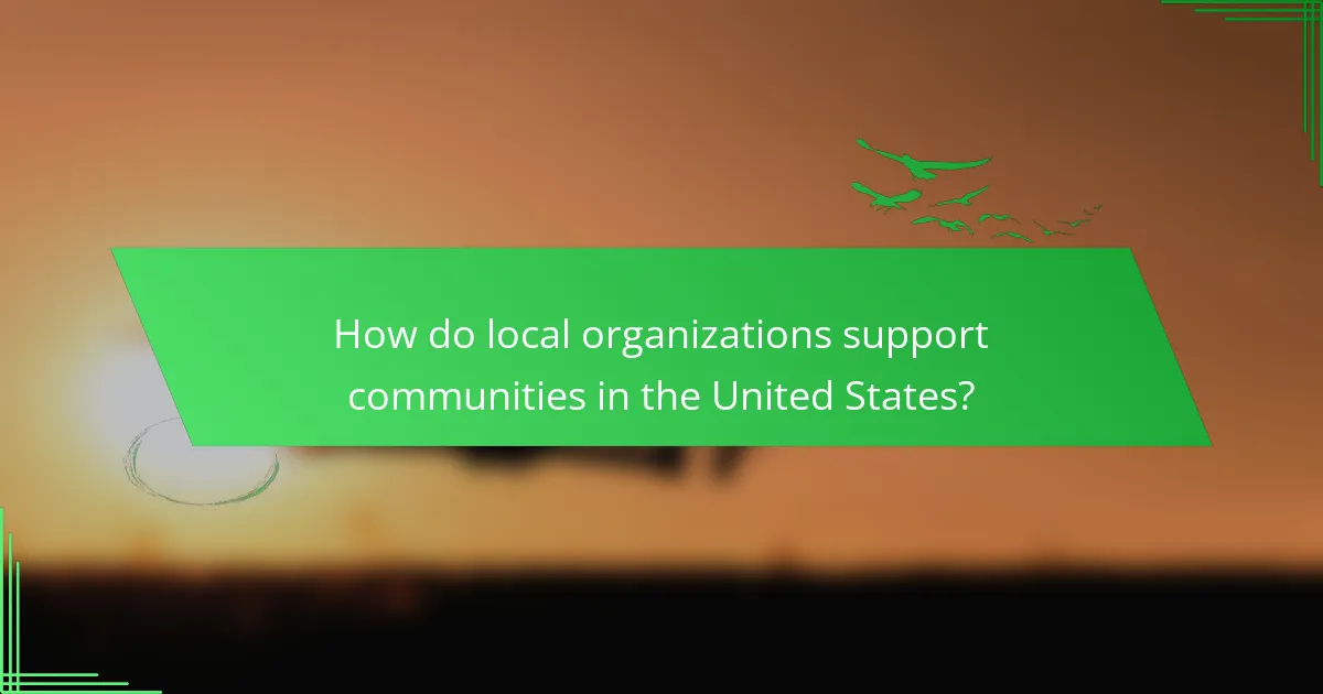 How do local organizations support communities in the United States?