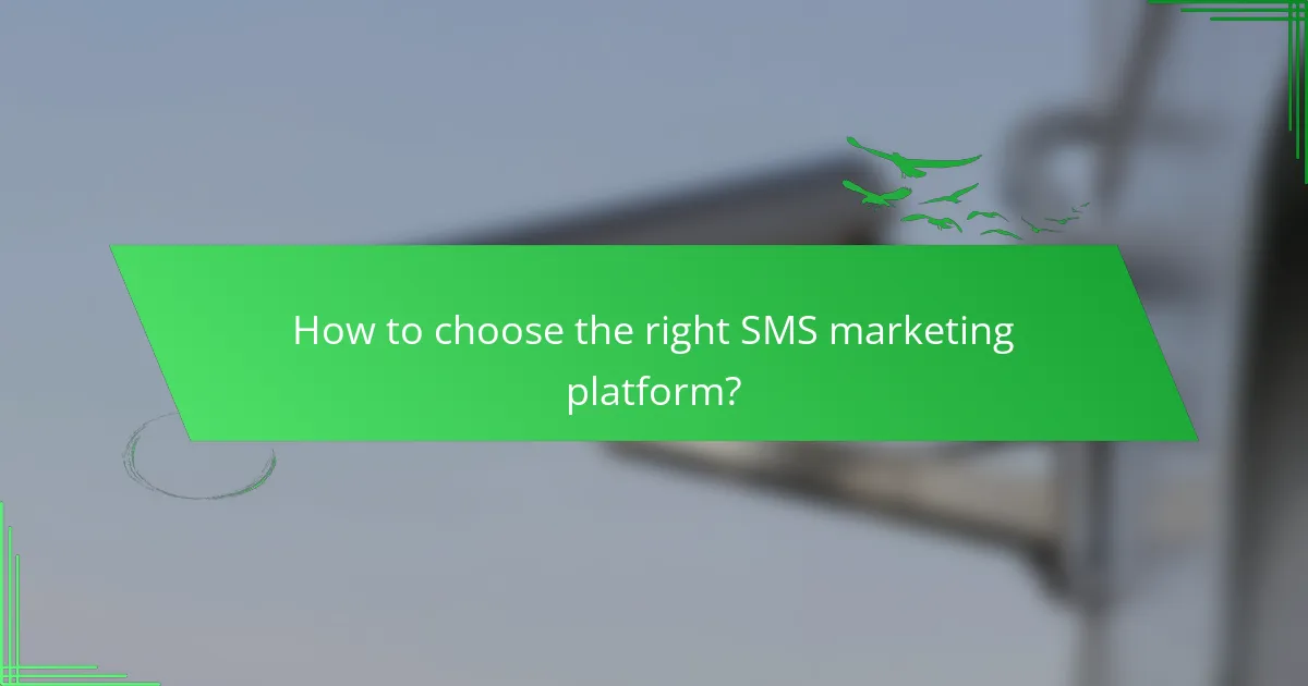 How to choose the right SMS marketing platform?