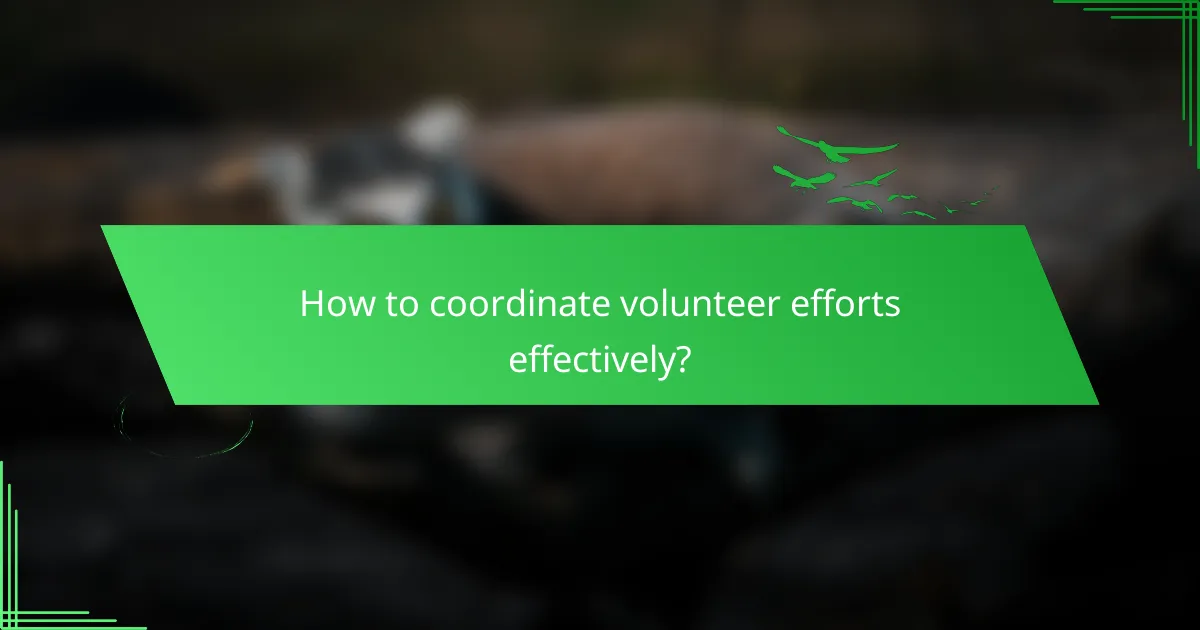 How to coordinate volunteer efforts effectively?