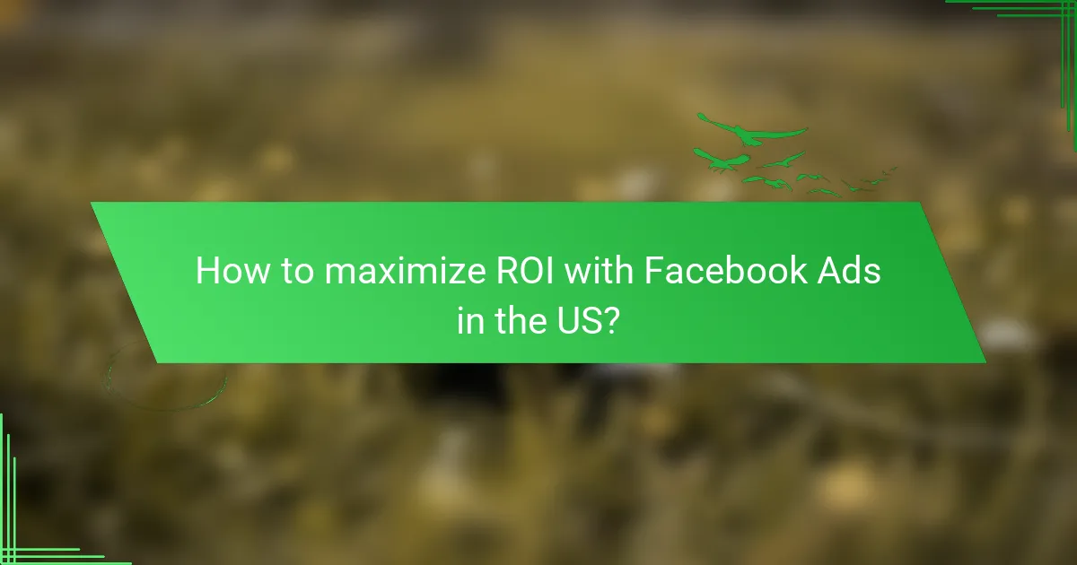 How to maximize ROI with Facebook Ads in the US?