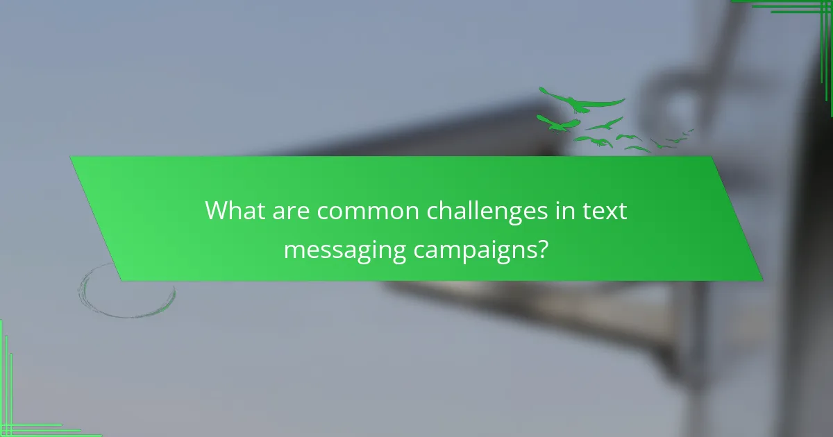 What are common challenges in text messaging campaigns?