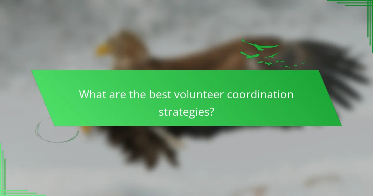What are the best volunteer coordination strategies?