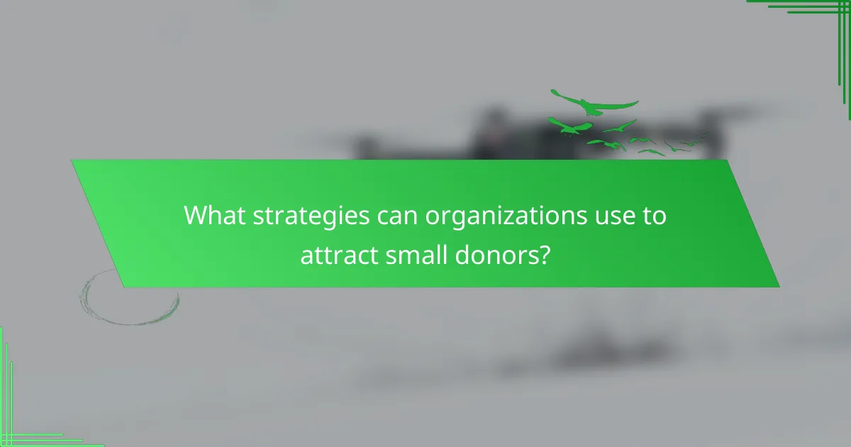What strategies can organizations use to attract small donors?