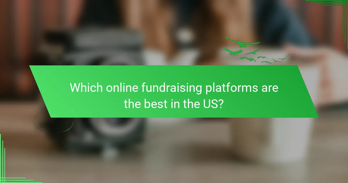 Which online fundraising platforms are the best in the US?